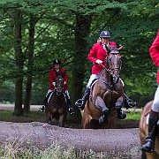 hest